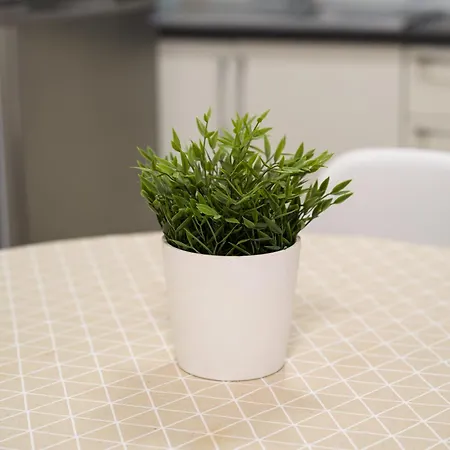 Canteras Canary Apartamento